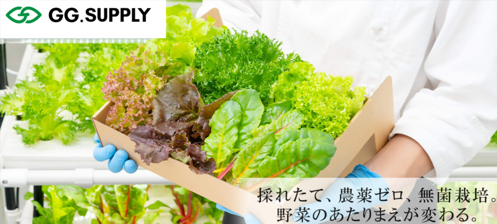 GG-SUPPLY特集-【公式】イオン九州オンラインストア・通販-06-23-2025_10_23_PM